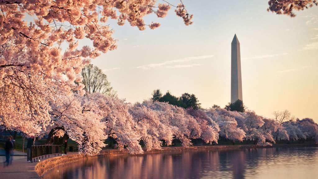 Hyatt Place Washington Dc/White House Fasilitas foto